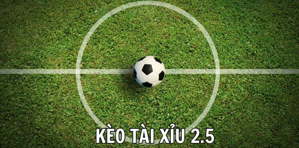 tài xỉu 2.5